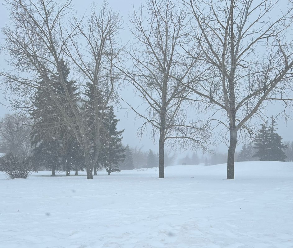 walking near me in Hill Park in winter