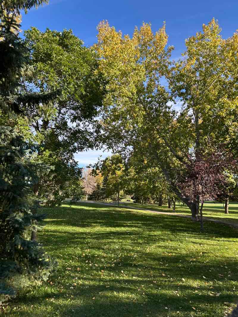 walking near me in Parkridge Park in autumn