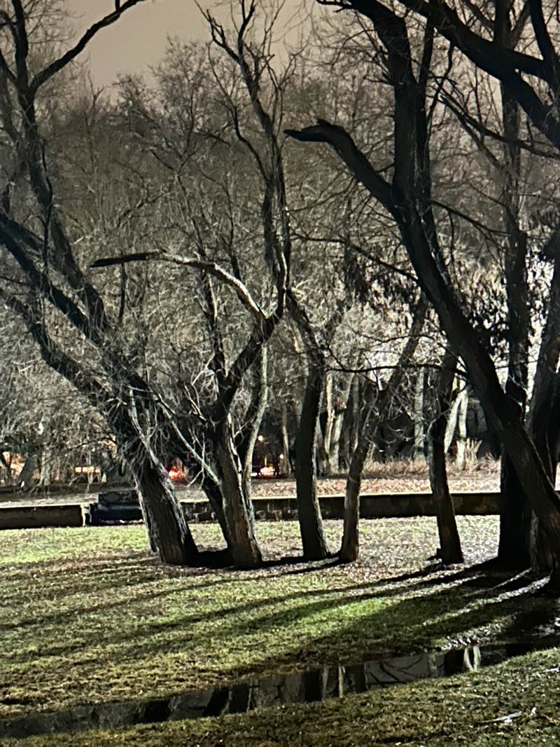 walking near me in Kiwanis Waterfall Park in spring