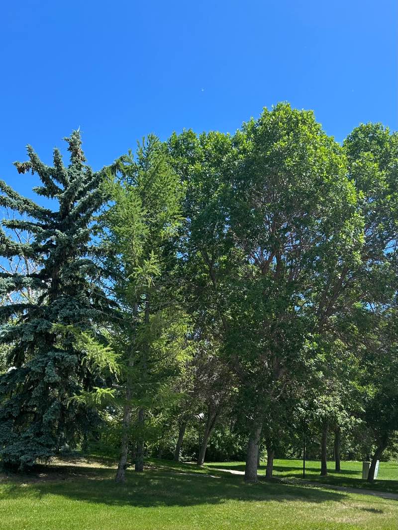 walking near me in Wascana Centre in summer