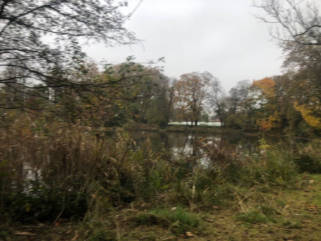 walking near me in Parc Casimir Davaine in winter