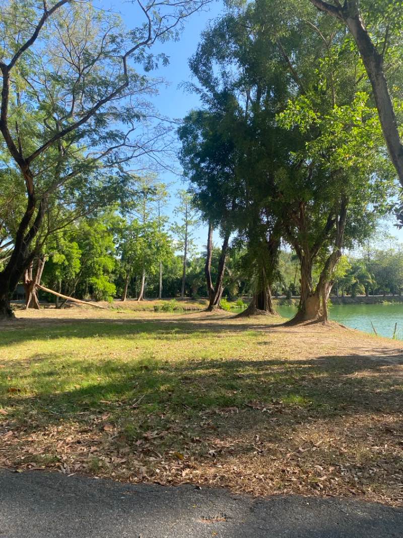 walking near me in Suan Luang King Rama IX Park in winter