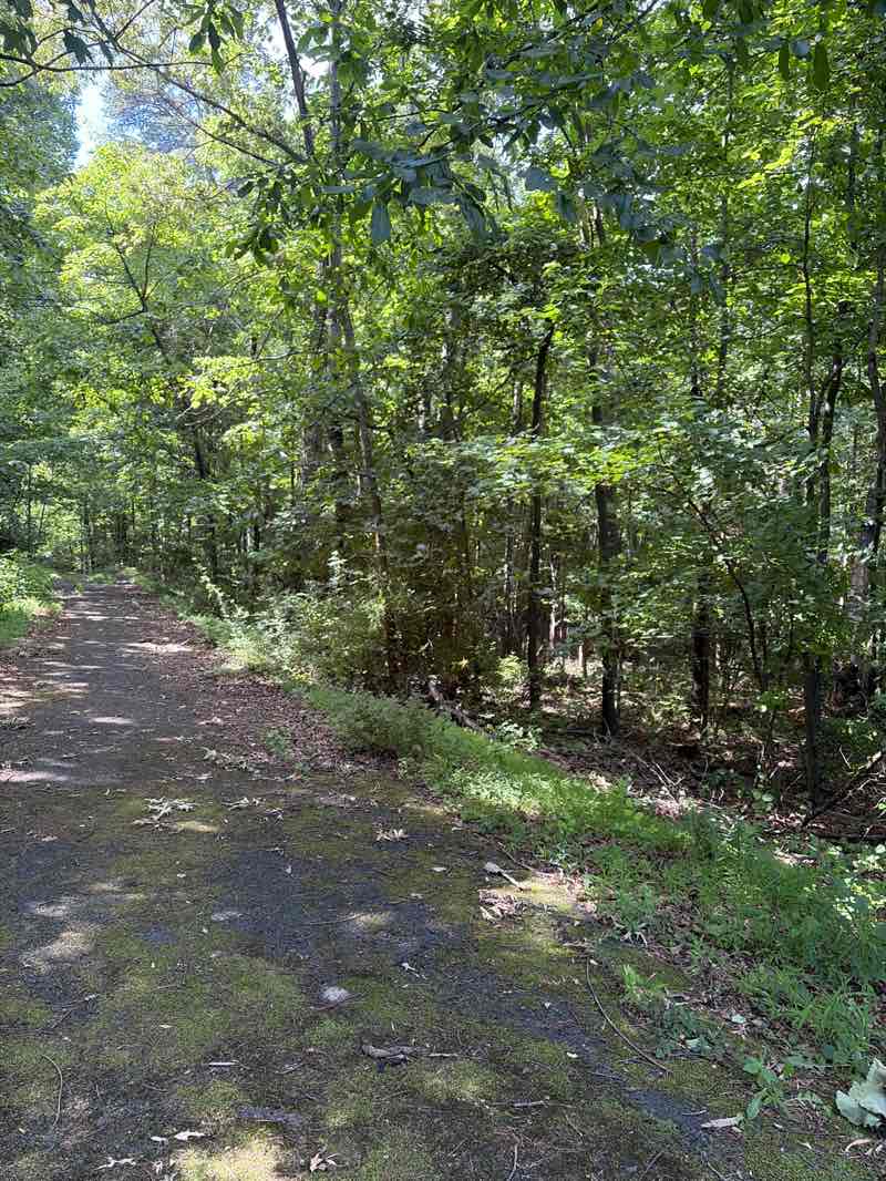 walking near me in Garnchayne Park in summer