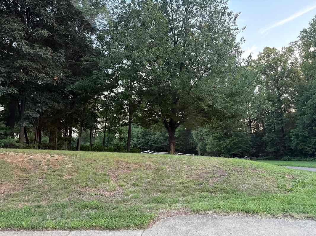 walking near me in Ox Hill Battlefield Park in summer
