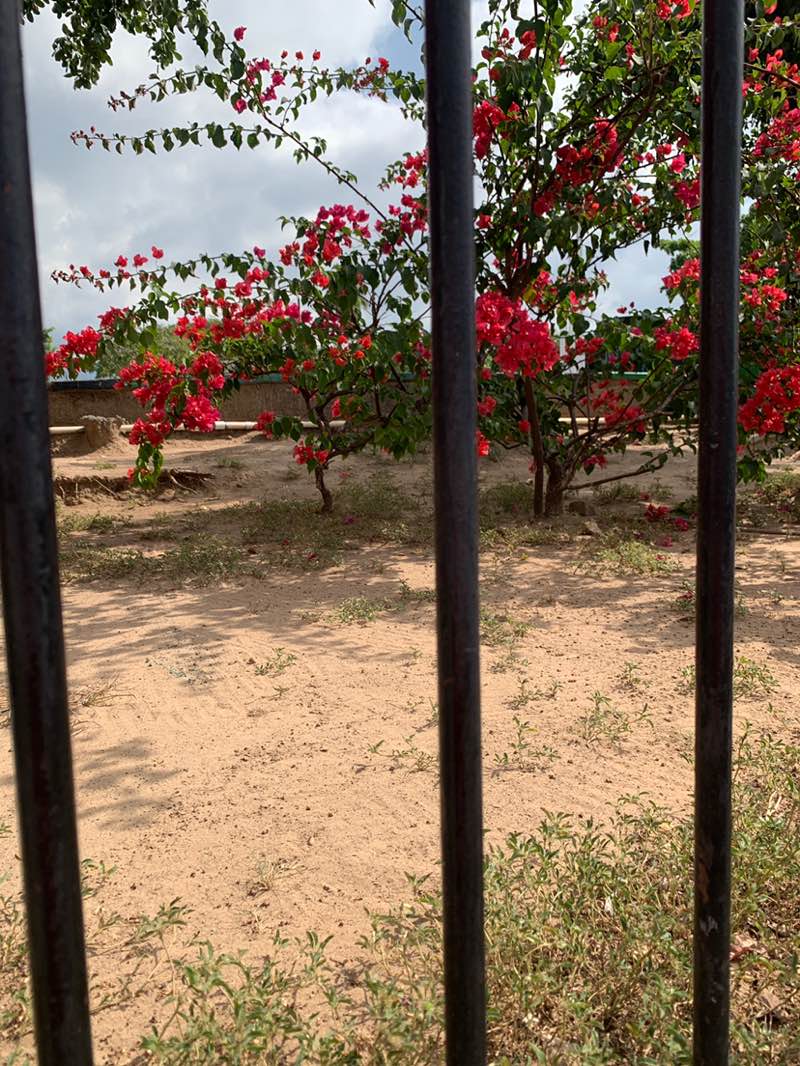 walking near me in Mandela Park in winter