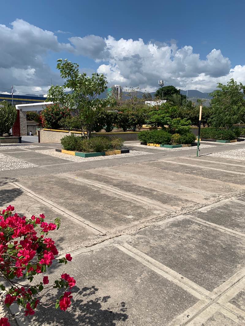 walking near me in Mandela Park in spring