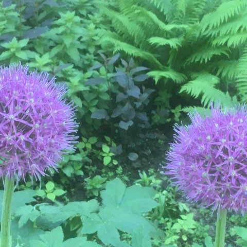 Елена 🎒🍎 post 2