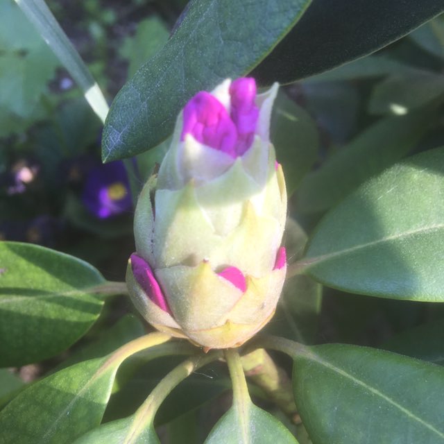 Елена 🎒🍎 post 3