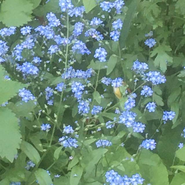 Елена 🎒🍎 post 3