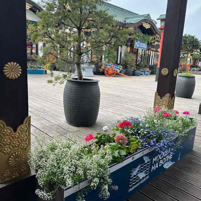 Елена 🎒🍎 post 2