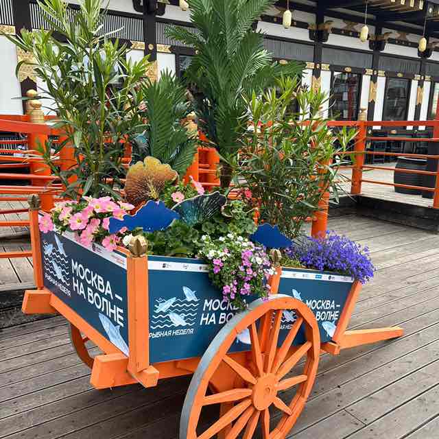 Елена 🎒🍎 post 3