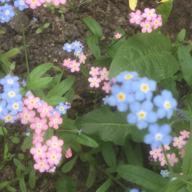 Елена 🎒🍎 post 2