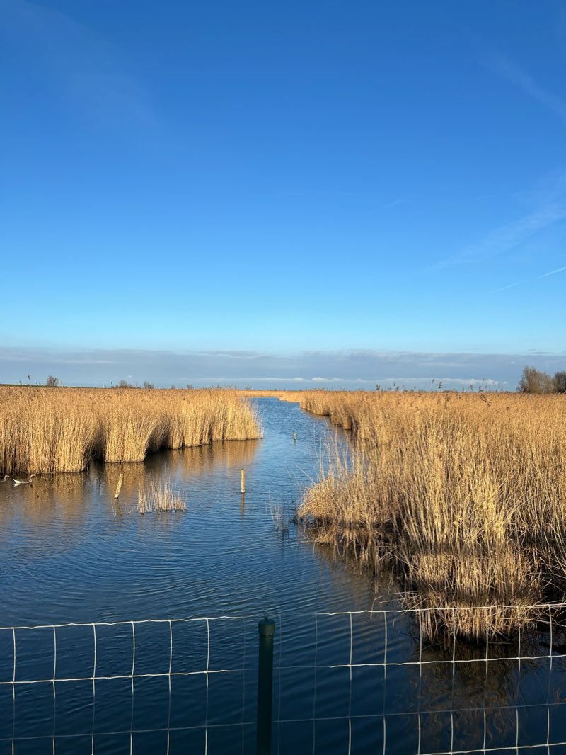 walking near me in Meridiaanpark in winter