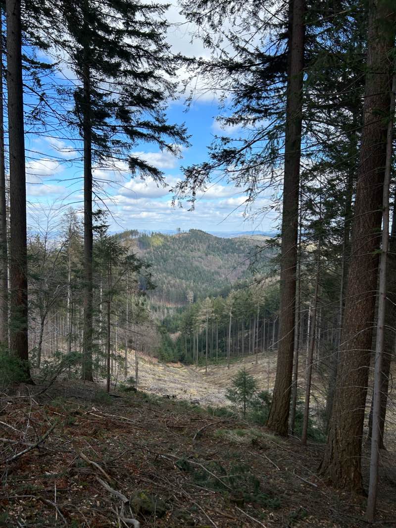 walking near me in Lázeňský park in winter