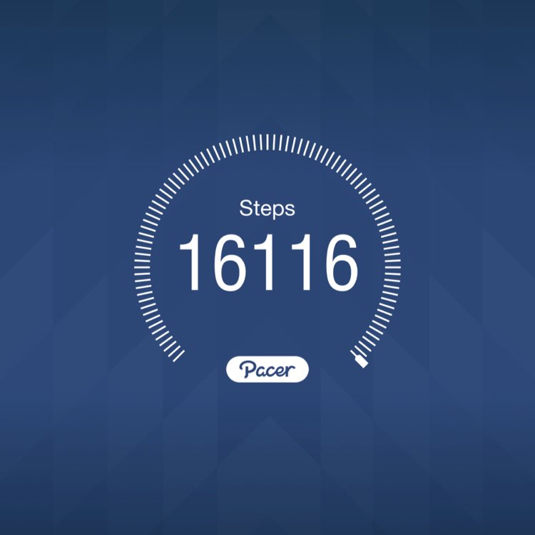 Namira 🐯🐅🇦🇺 post 1