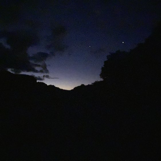 Namira 🐯🐅🇦🇺 post 2