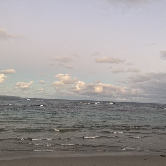 Namira 🐯🐅🇦🇺 post 3