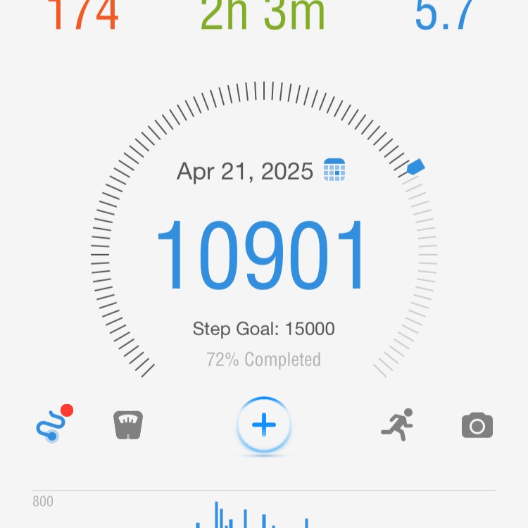 Namira 🐯🐅🇦🇺 post 2