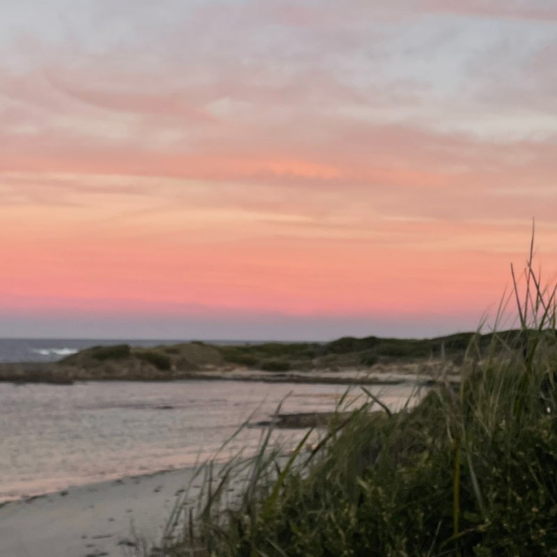 Namira 🐯🐅🇦🇺 post 2