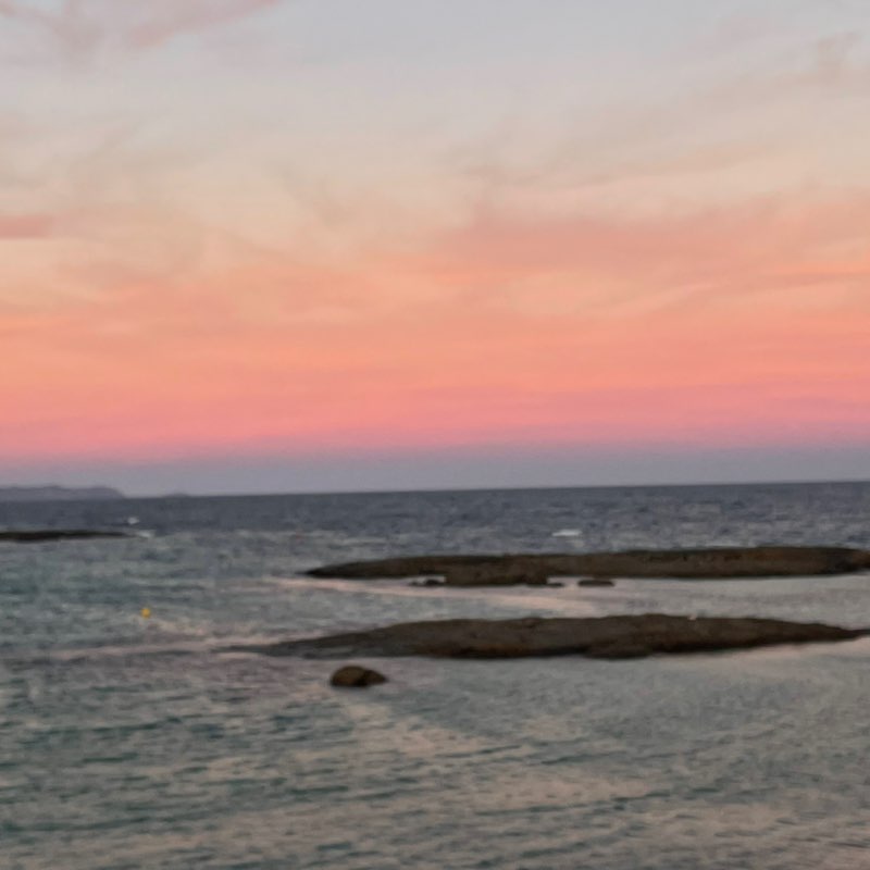 Namira 🐯🐅🇦🇺 post 1