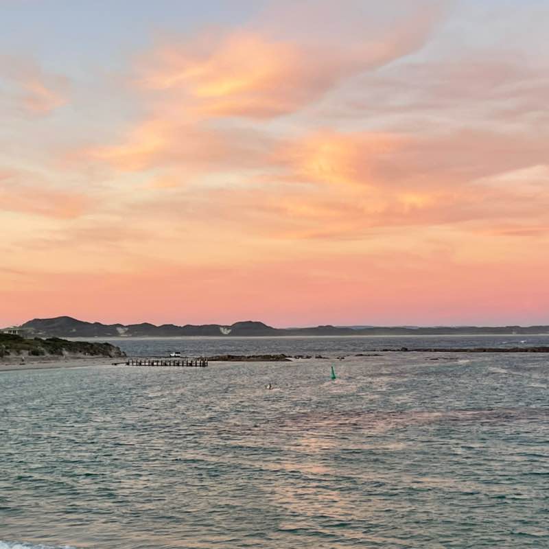 Namira 🐯🐅🇦🇺 post 3