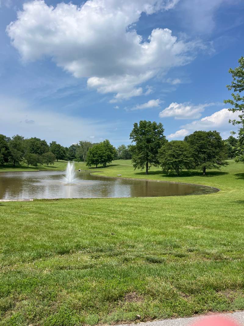 walking near me in Conway Park in summer