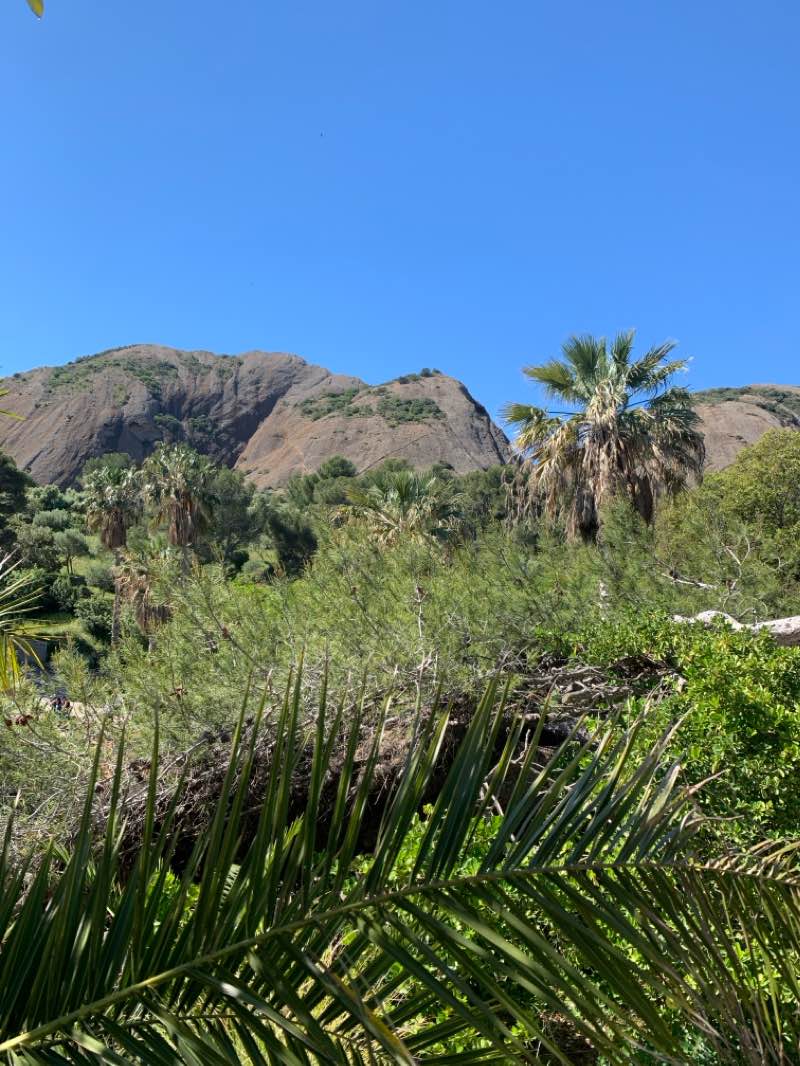 walking near me in Jardin botanique du Mugel in winter