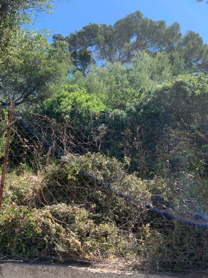 walking near me in Projet Parc Sportif in winter