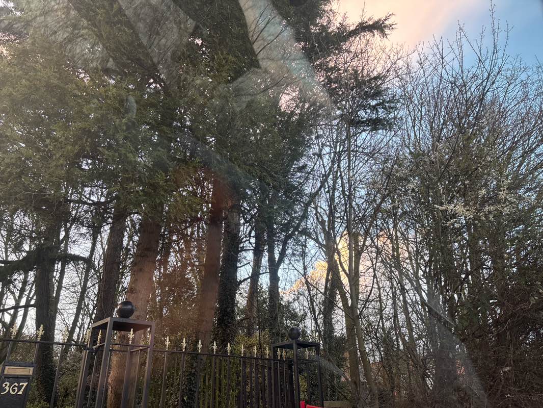 walking near me in Faith Marroit Nature Reserve in spring