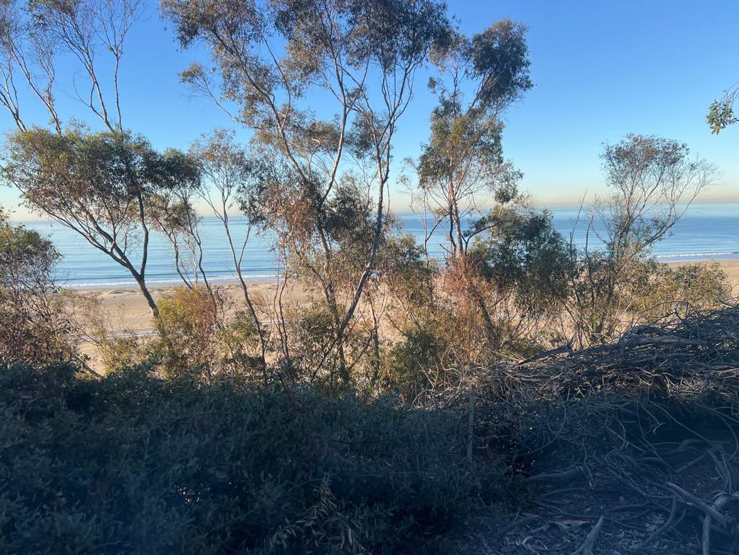 walking near me in Palisades Park in winter