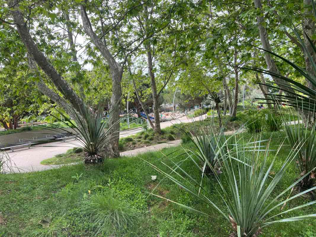 walking near me in Tongva Park in spring