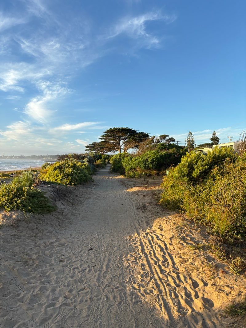 walking near me in Foreshore Reserve in summer