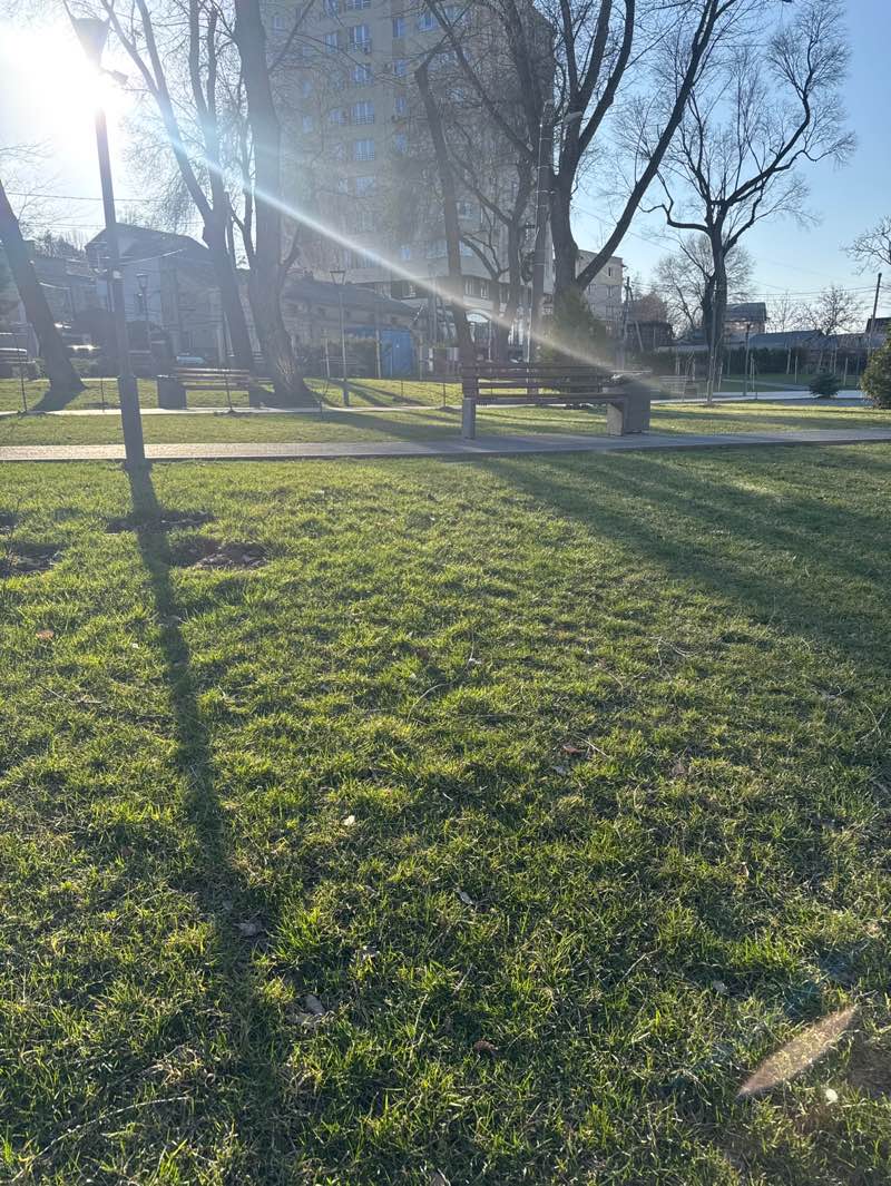 walking near me in Parcul Zaikin in spring