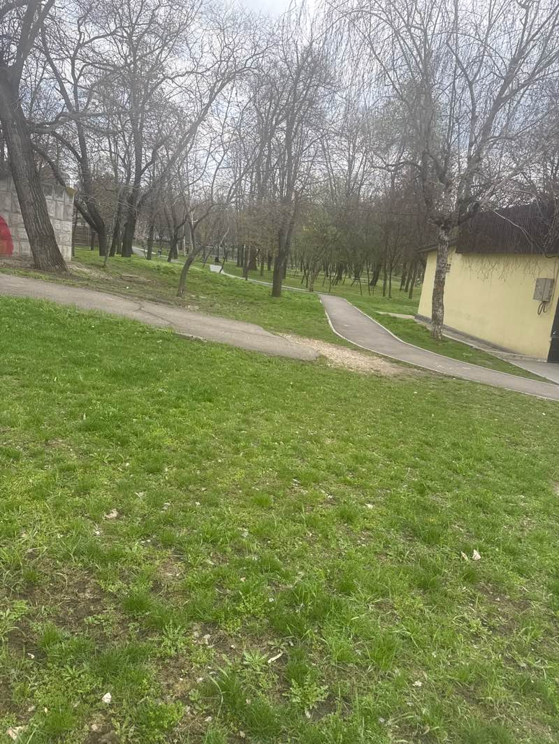 walking near me in Alunelul Public Garden in spring