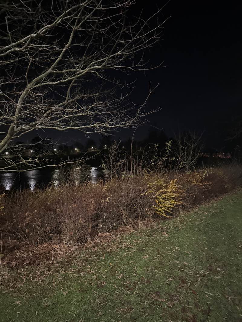 walking near me in Keptie Pond in autumn