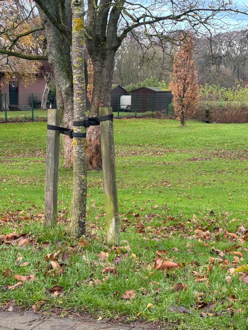walking near me in McDonald Park in winter