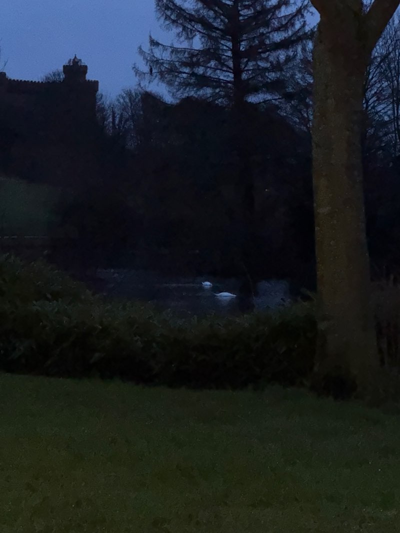 walking near me in Keptie Pond in winter