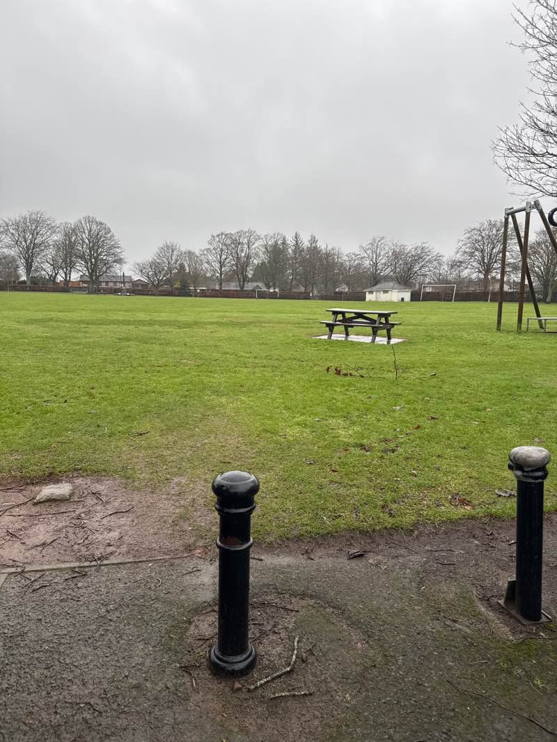 walking near me in Dempster Park in winter