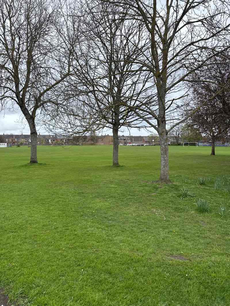 walking near me in McDonald Park in spring