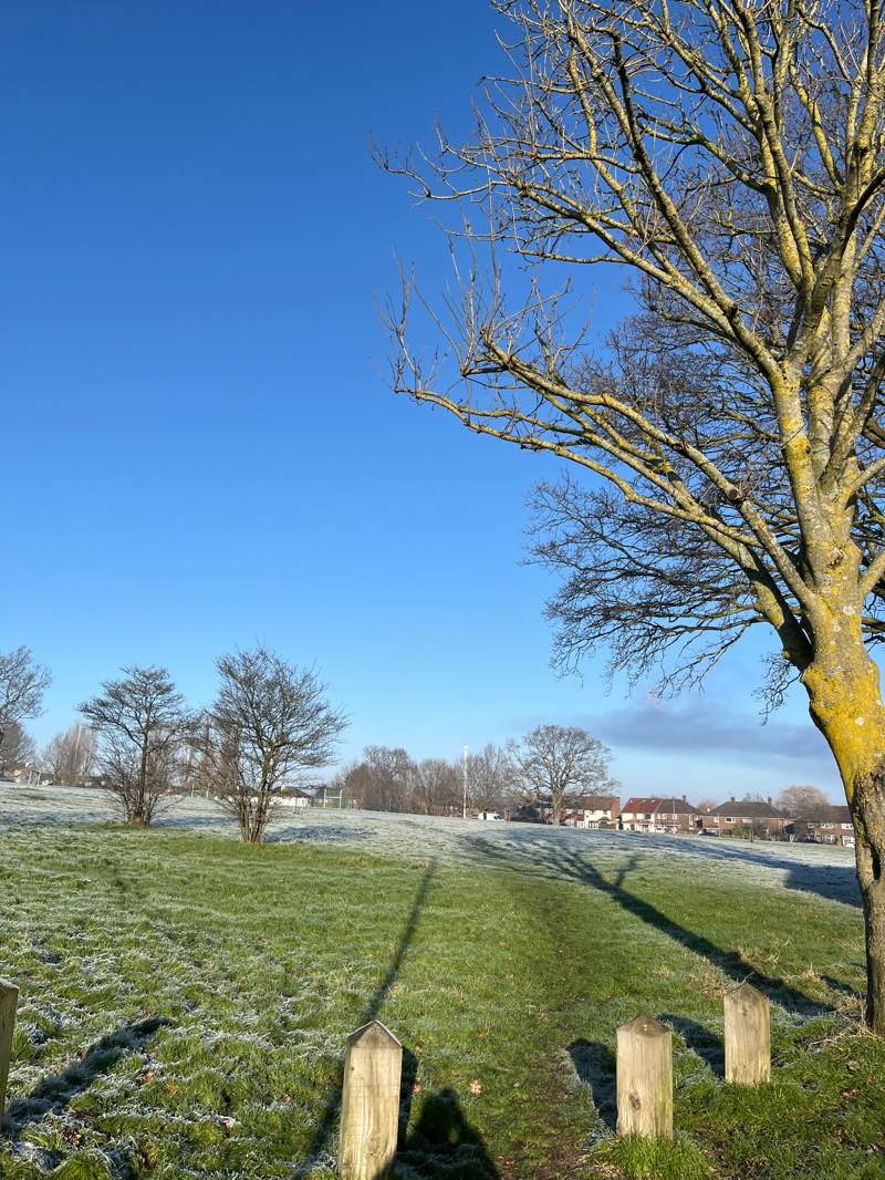 walking near me in Ripon Park in winter