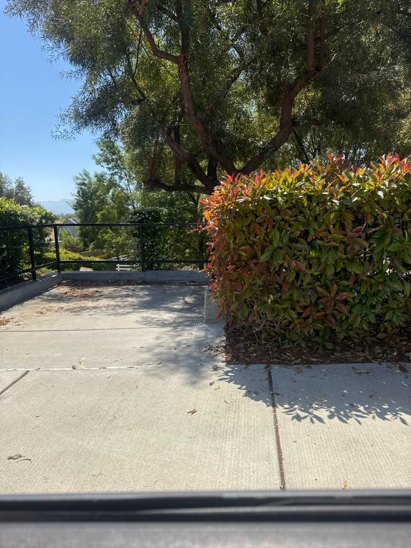 walking near me in Leon Park in spring