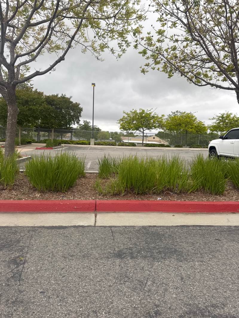 walking near me in Wolf Creek Park in spring