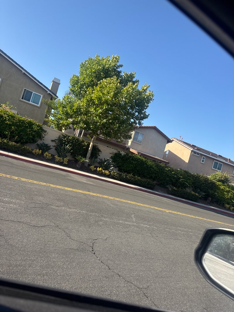 walking near me in Park of College Park in summer