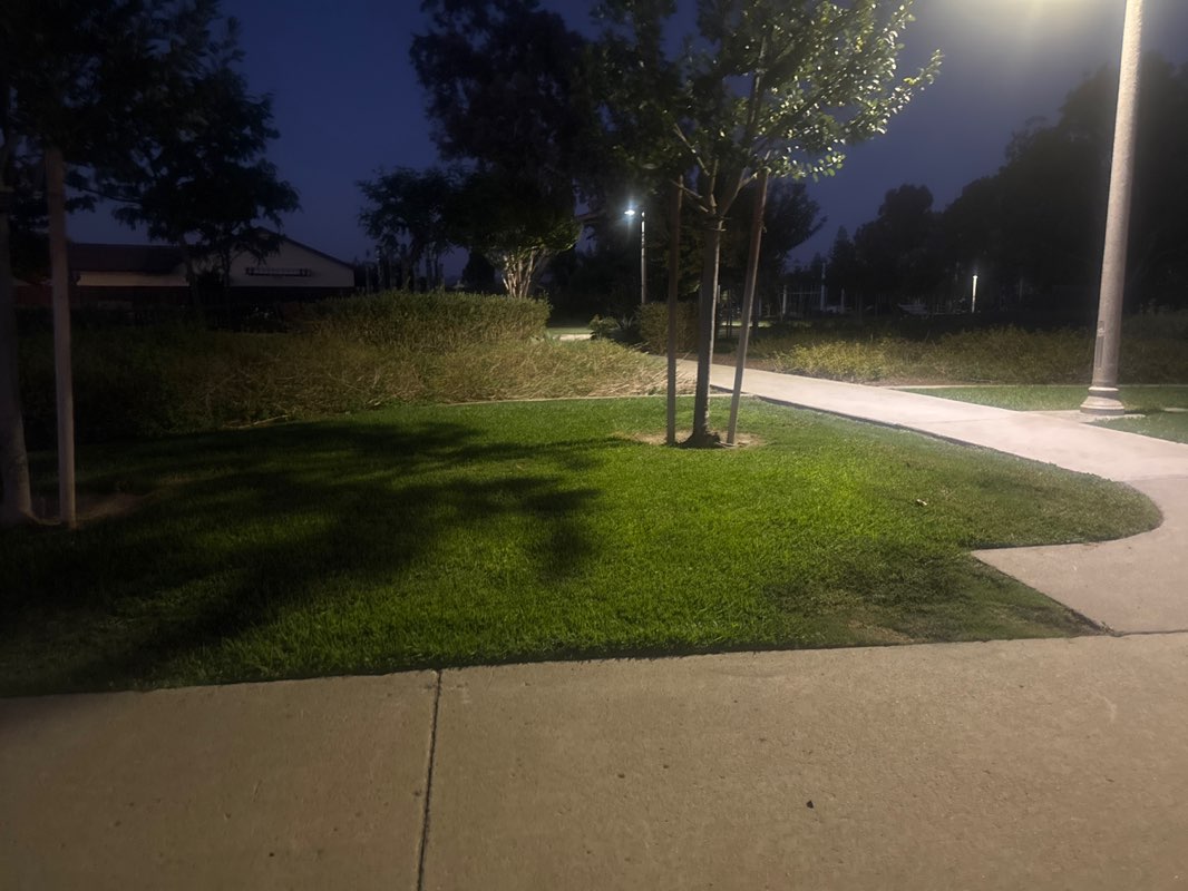 walking near me in Coronado Park in autumn
