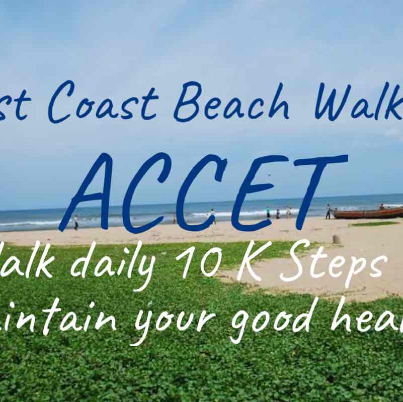 East Coast Beach Walker1 East Coast Beach Walker1 post image