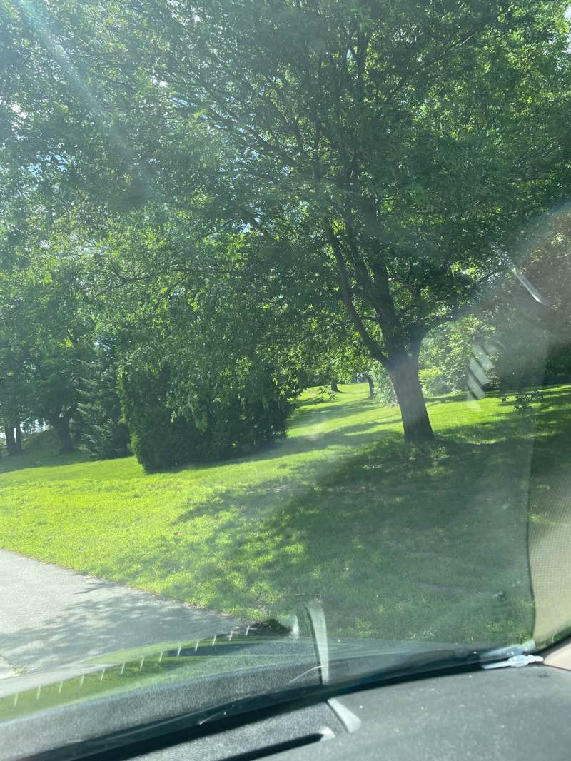 walking near me in USM Hedges in summer