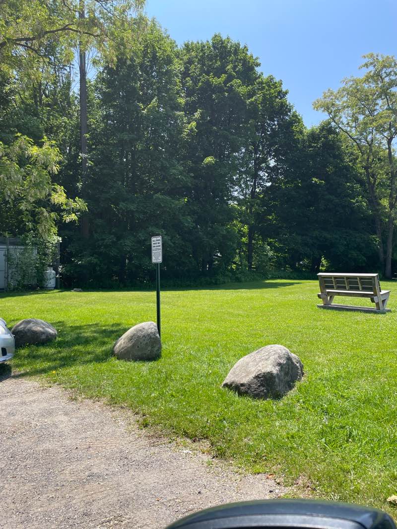 walking near me in Fort Hill Park in summer