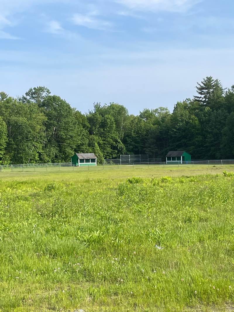 walking near me in Estes Park in summer