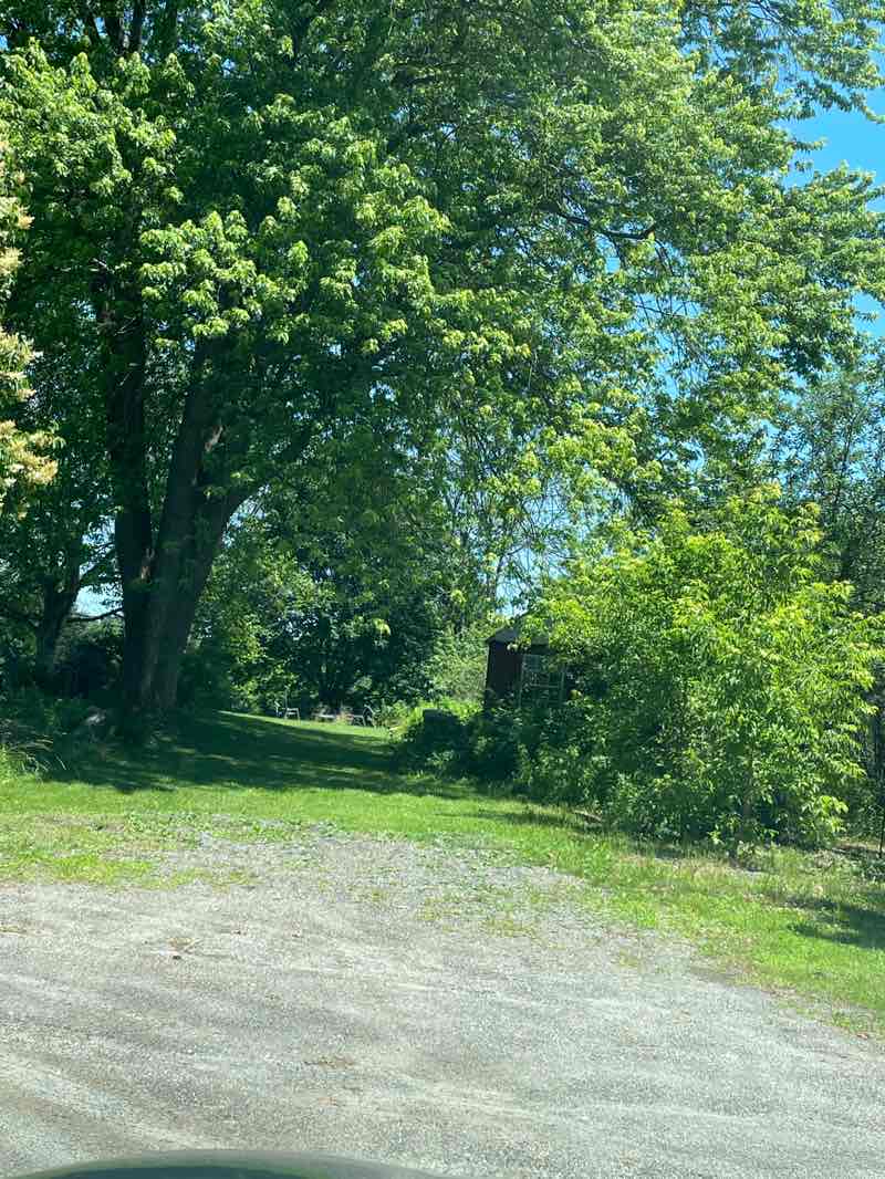 walking near me in Conant Property in summer