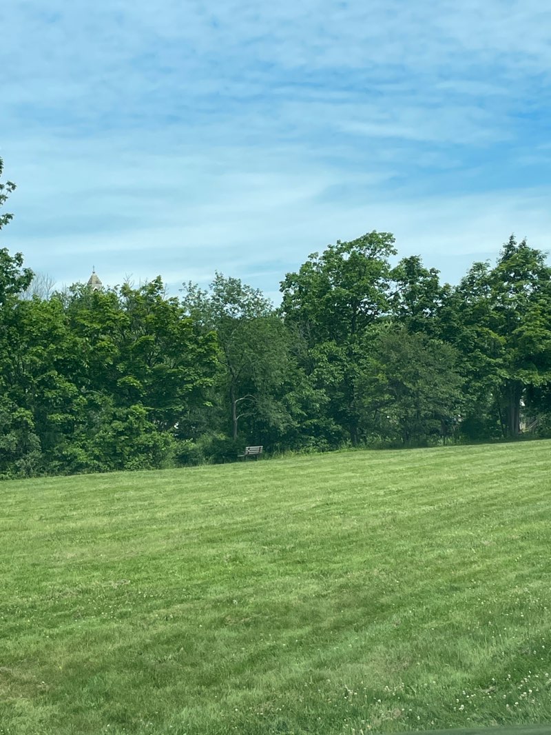 walking near me in Foster Street Park in summer